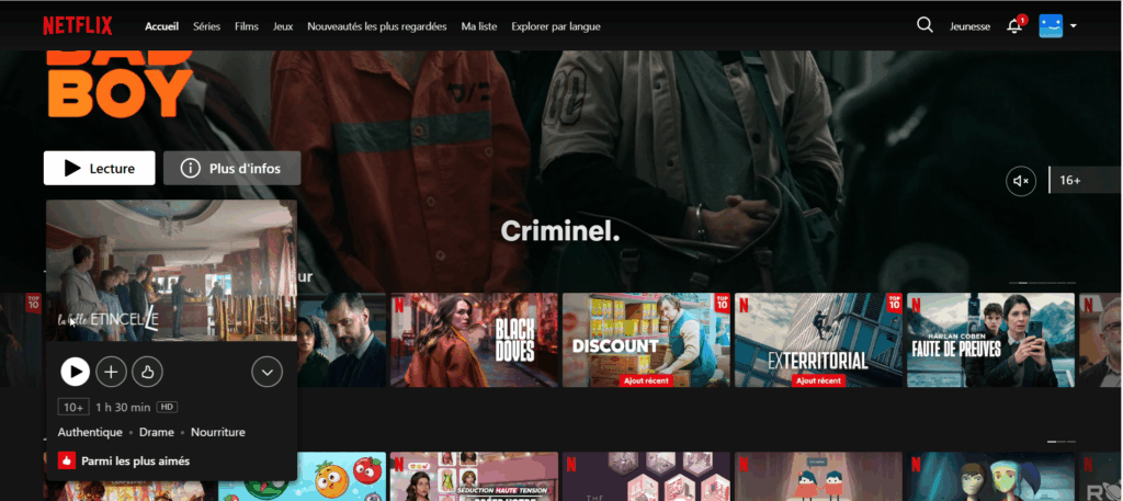 interface netflix